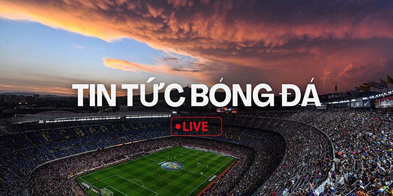 Tin tức tại bongdanet độc quyền và phân tích chuyên sâu